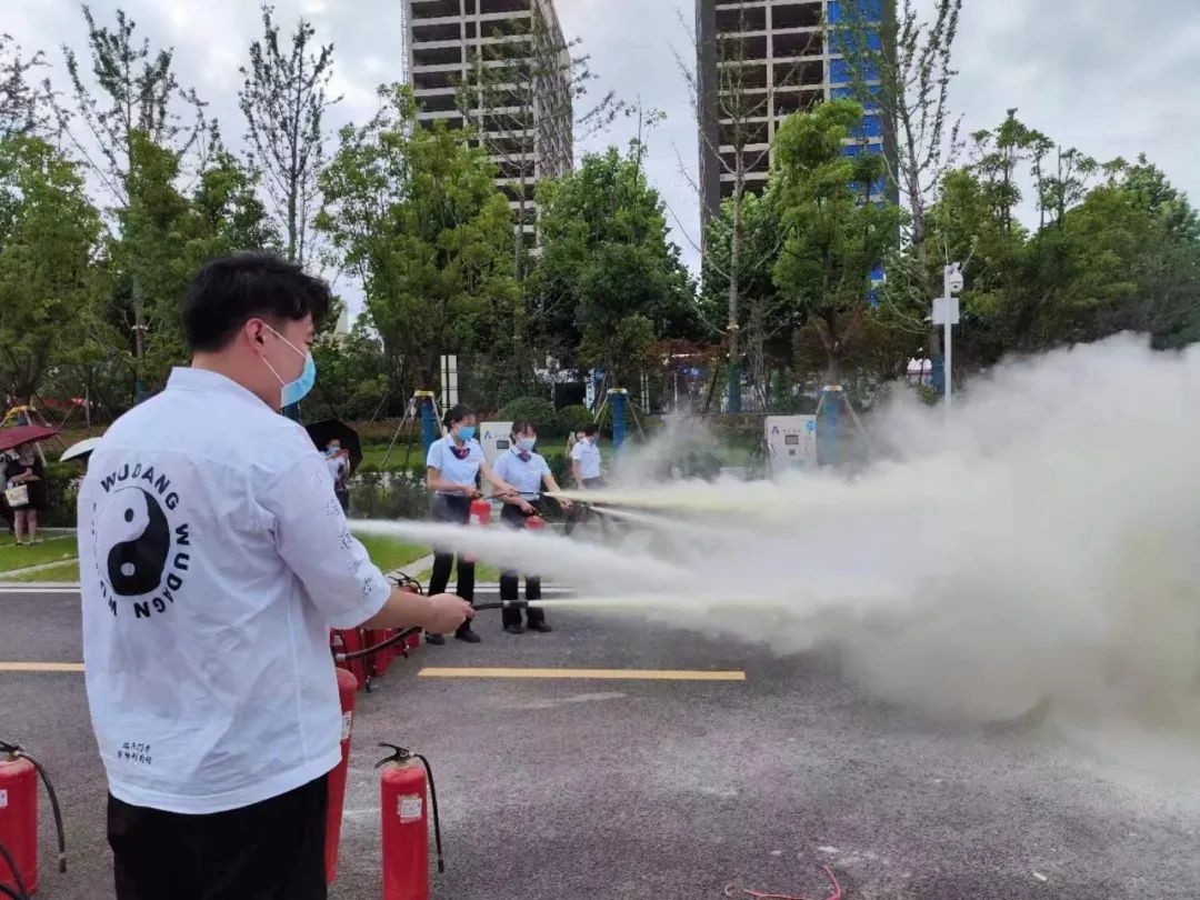 161633570.jpeg 5.jpeg