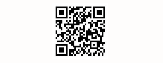 154016151.jpg 1739518762025.jpg