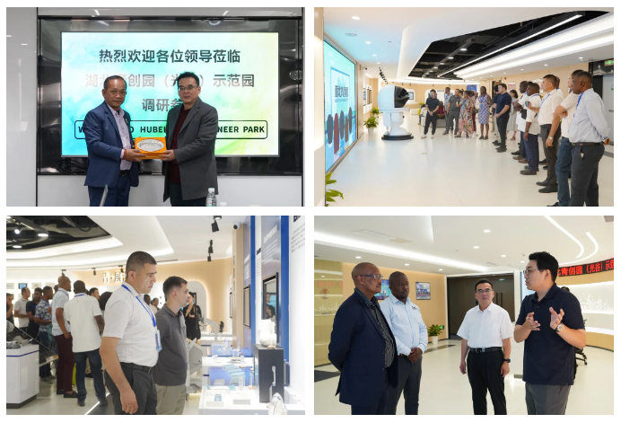 171552112.png 1740993336249.png